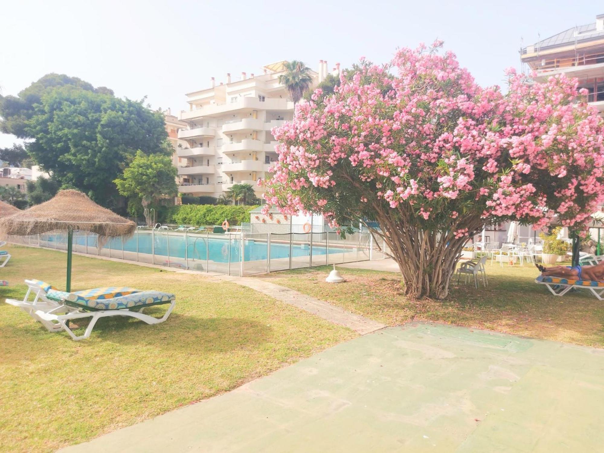 Estudio Luminoso En Puerto Marina เบนัลมาเดนา ภายนอก รูปภาพ
